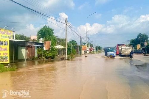 Điện lực Đồng Nai bảo đảm an toàn điện tại các địa phương bị ngập
