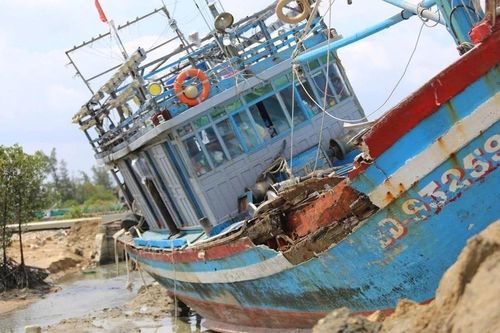 Nỗ lực, tự tin đứng lên sau giông bão
