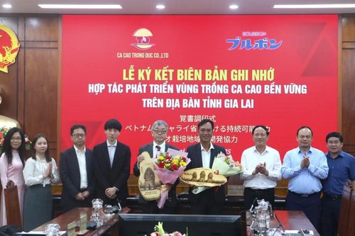 Chủ tịch UBND tỉnh Gia Lai Phạm Anh Tuấn làm việc với Công ty Ca cao Trọng Đức và Tập đoàn Bourbon (Nhật Bản)