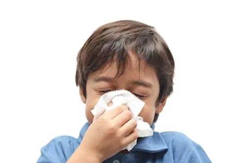Virus H3N2 đột biến có thể làm bùng phát dịch cúm tại châu Á