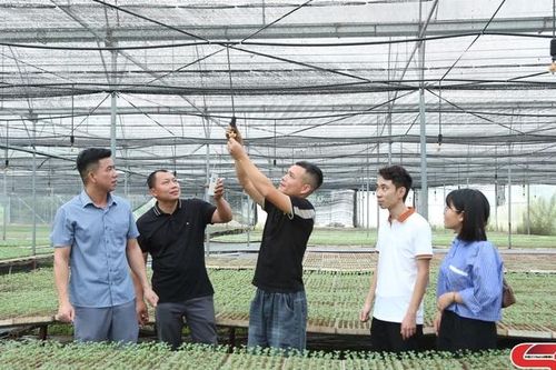 Phát triển đa dạng cây trồng vụ đông