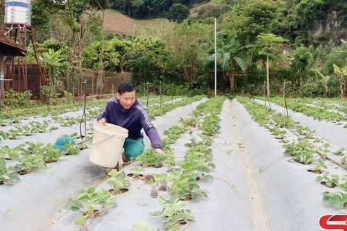 Khởi sắc vùng đồng bào dân tộc thiểu số