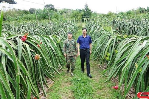 Chuyển đổi số - thúc đẩy nông thôn Sơn La phát triển