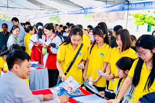 Đẩy mạnh hướng nghiệp cho học sinh