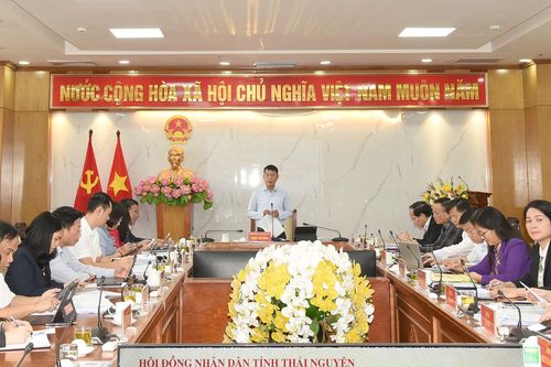 Thẩm tra các tờ trình, dự thảo nghị quyết