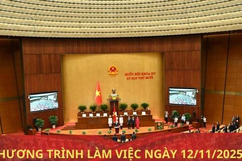 Kỳ họp thứ Mười, Quốc hội Khóa XV: Chương trình làm việc ngày 12/11