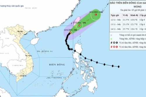 Bão số 14 Fung-Wong giảm cấp, sẽ suy yếu thành vùng áp thấp nhiệt đới