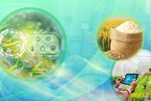 Đổi mới tư duy để nông nghiệp đi xa và bền vững