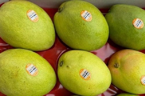 Xoài Úc nhập khẩu có giá bán tới 600.000 đồng/kg vẫn 'lất lướt' xoài nội
