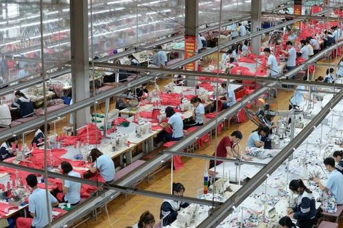 May Sông Hồng chia cổ tức bằng tiền tỷ lệ 40%, gia đình chủ tịch nhận về 193 tỷ đồng