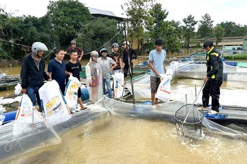 Huế khẩn trương khôi phục sản xuất, ổn định đời sống người dân sau bão lũ