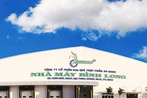 Rau quả Thực phẩm An Giang (ANT) hủy cổ tức 2024, quyết tâm chuyển sàn HoSE dù thanh khoản 'teo tóp'