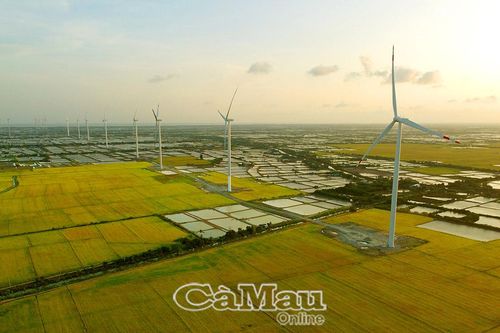 Dòng điện xanh dẫn đường cất cánh