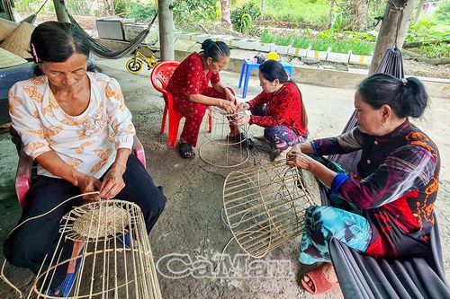 Sinh kế lúc nông nhàn