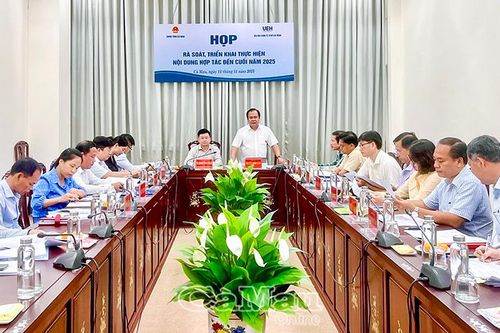 Thúc đẩy hợp tác giữa Cà Mau và Đại học Kinh tế TP Hồ Chí Minh phục vụ phát triển bền vững