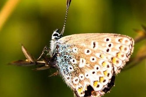 Tháng sinh Âm lịch của người có nhân duyên tốt