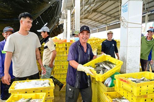 Bên trong cảng cá lớn nhất tỉnh An Giang