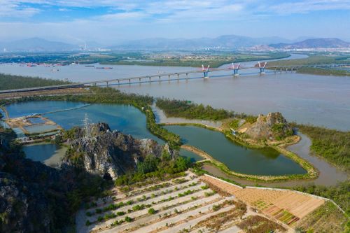 Vingroup muốn khởi công khu bến cảng, logistics 14 tỷ USD vào năm 2027