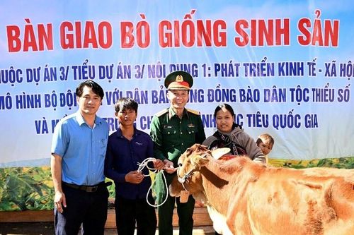 Gia Lai: Tặng 42 con bò giống cho đồng bào DTTS và hộ nghèo