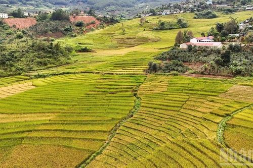 Quảng Ngãi gắn kết du lịch sinh thái và biển đảo