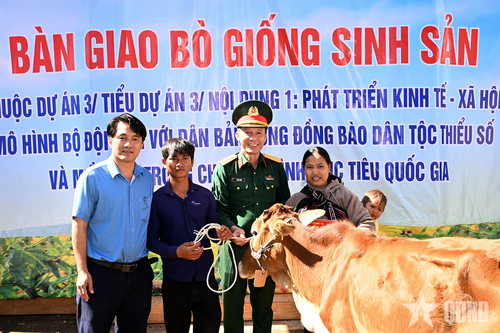 Đoàn Kinh tế - Quốc phòng 717: Trao sinh kế, tăng thu nhập cho đồng bào dân tộc thiểu số