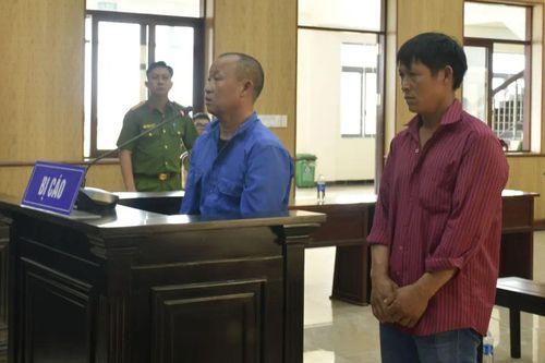 Kiên quyết xử lý hành vi khai thác hải sản bất hợp pháp