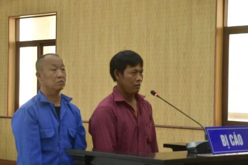 Tổ chức cho thuyền viên vượt biên trái phép, hai thuyền trưởng lãnh án