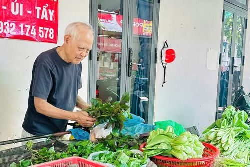 Giá rau ăn lá tăng mạnh