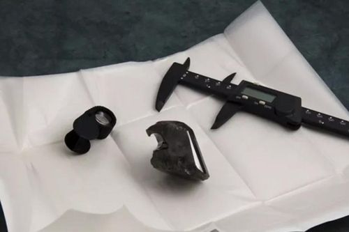 Doanh nhân Bỉ sở hữu viên kim cương đen The Black Falcon chế tác lớn nhất thế giới