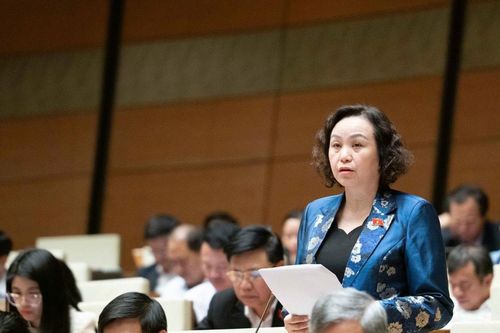 Đại biểu Quốc hội lo ngại 'chính – phụ đảo chiều' nếu viên chức được tham gia điều hành doanh nghiệp