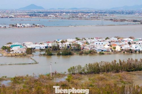 'Ốc đảo xanh' giữa đầm Thị Nại xơ xác sau bão