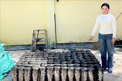 Thu giữ hơn 1.600 bình khí cười tại khu vực biên giới tỉnh Quảng Ninh