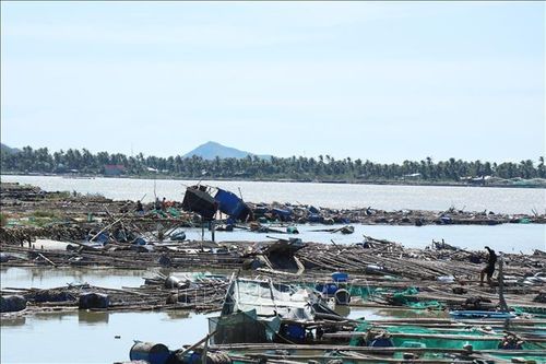 Đắk Lắk yêu cầu quản lý chặt hoạt động nuôi trồng thủy sản