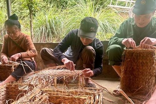 Bèo tây 'lên đời' thành hàng xuất khẩu nhờ bàn tay khéo léo của người dân Nghệ An
