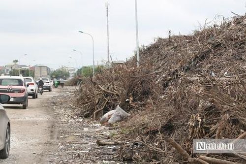 Rác thải chất đống cao ngút hai bên đường ở trung tâm đô thị Nghệ An