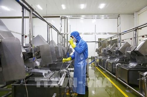 Đồng Nai: Nông sản công nghệ cao chinh phục thị trường quốc tế