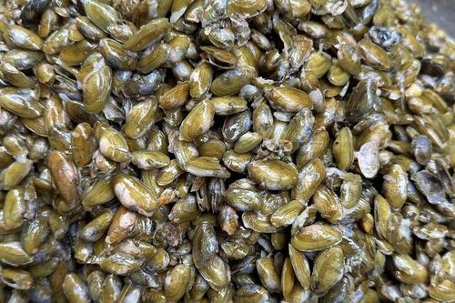 Đặc sản với cái tên nghe là lạ chỉ có ở Quảng Ngãi, phải ăn cùng bánh tráng mới chuẩn bài