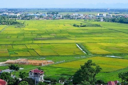 Doanh nghiệp bất động sản cần lưu ý gì với Nghị định số 291/2025/NĐ-CP?