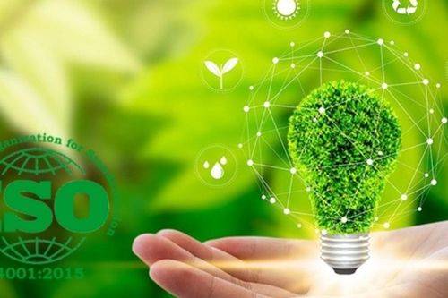 Việt Nam đã có khoảng 400 tiêu chuẩn TCVN liên quan đến chuyển đổi xanh, phát triển bền vững