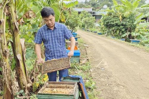Bắc Ninh: Tập trung ứng dụng công nghệ trong chăn nuôi