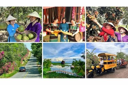 [Loạt Megastory] 'Tam nông' Đồng Nai trong hành trình xanh, bền vững (Kỳ 4)