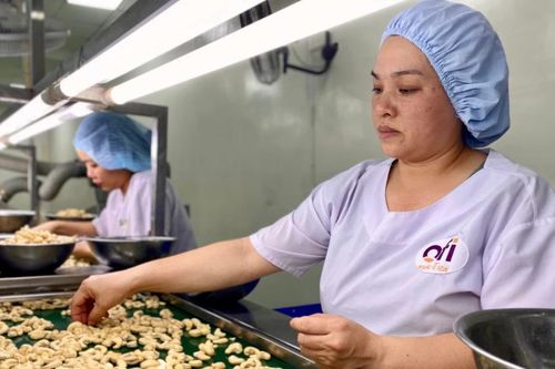 Phê duyệt Quy trình nội bộ giải quyết 7 TTHC liên thông và 2 TTHC không liên thông trong lĩnh vực đầu tư