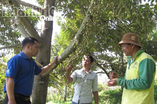 Xã Đông Khánh Sơn: Nhiều 'hạt nhân' thúc đẩy giảm nghèo