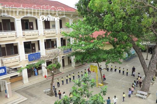 Gần 96.800 cây xanh được trồng mới trong trường học