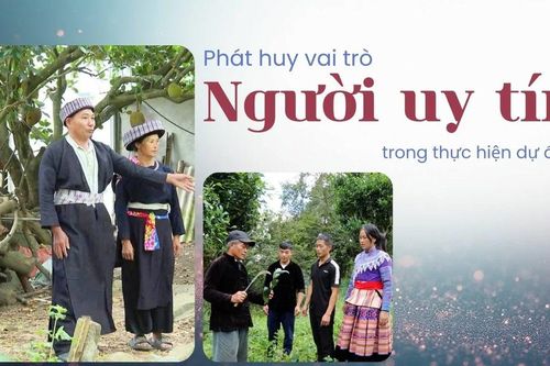 Phát huy vai trò của người uy tín trong thực hiện Dự án 8