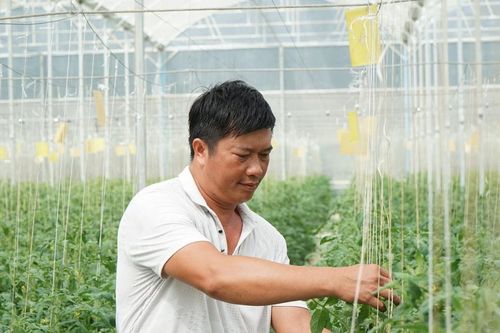 Nông nghiệp thông minh - Nền tảng bền vững cho nông thôn mới Lâm Đồng
