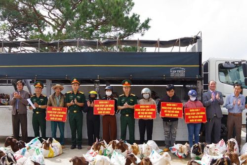 Đoàn Kinh tế Quốc phòng Lâm Đồng bàn giao 320 con dê lai Boer cho đồng bào dân tộc thiểu số