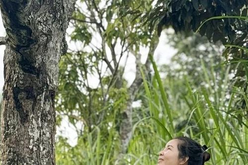 Người Mường Phú Thọ ở Tây Nguyên