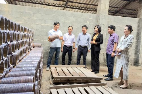 Nâng cao hiệu quả đầu tư các cụm công nghiệp, điểm tiểu thủ công nghiệp