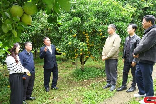 Nâng cao năng lực số cho HTX